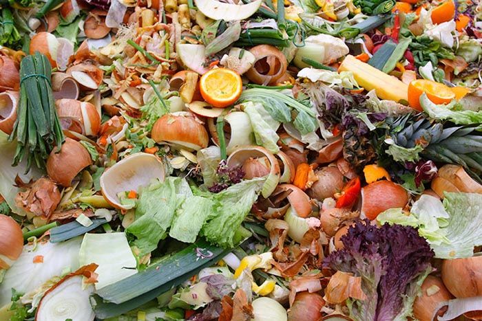 Food Waste